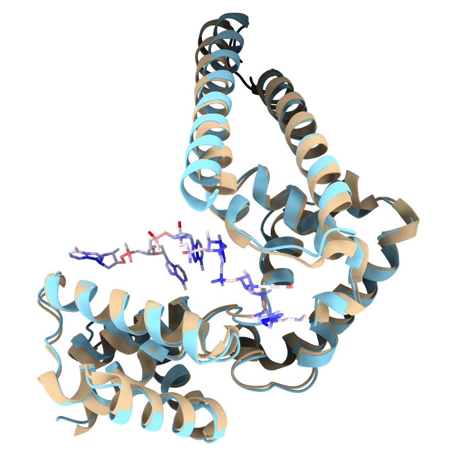 Flagship validation study – structural motif match